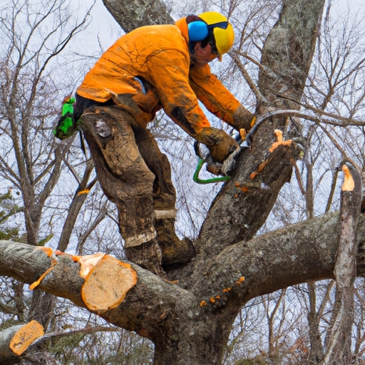 Discover the Secrets to Beautifully Maintained Trees in Your Neighborhood