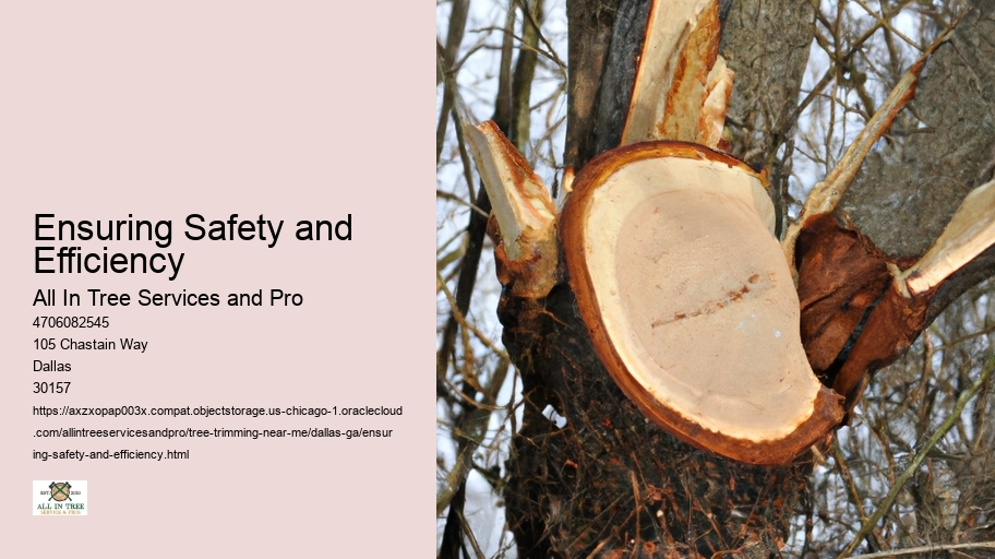 Ensuring Safety and Efficiency