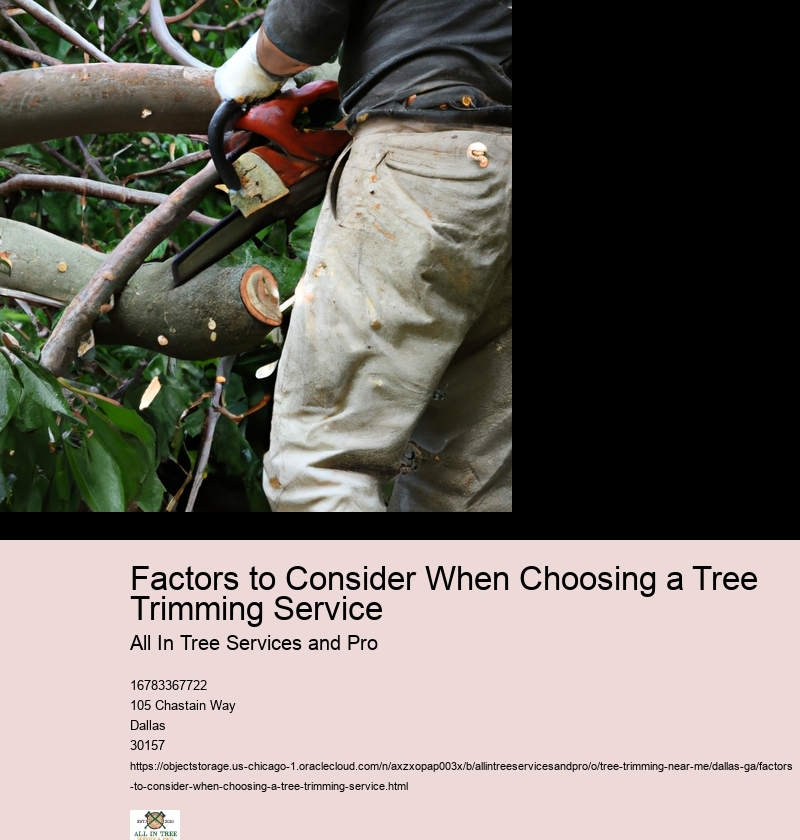 Factors to Consider When Choosing a Tree Trimming Company
