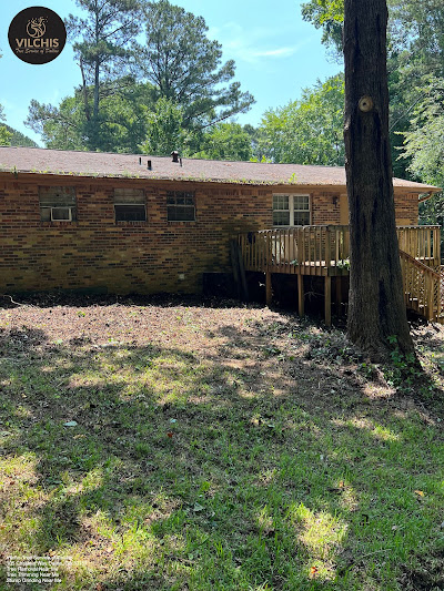 Factors to consider when choosing a tree trimming company