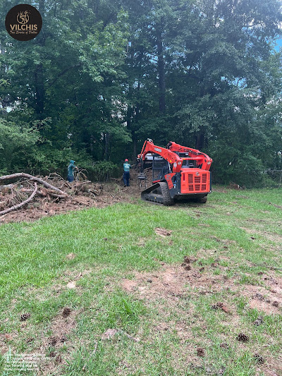 Recognizing signs of unhealthy trees and taking corrective action