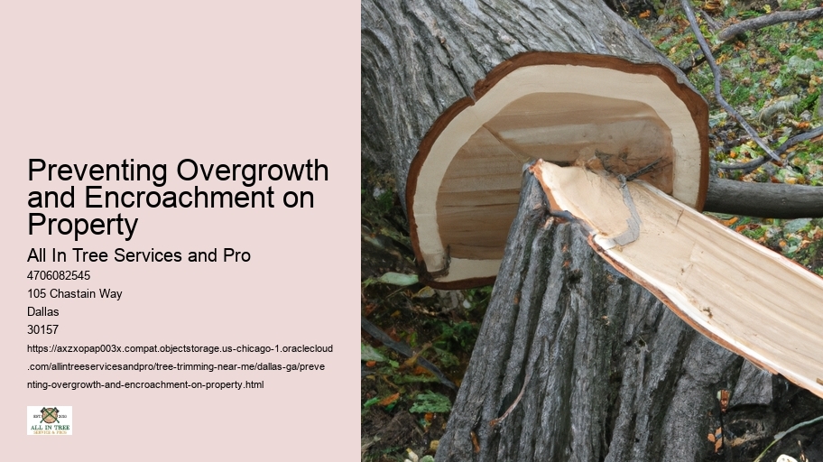 Preventing Overgrowth and Encroachment on Property