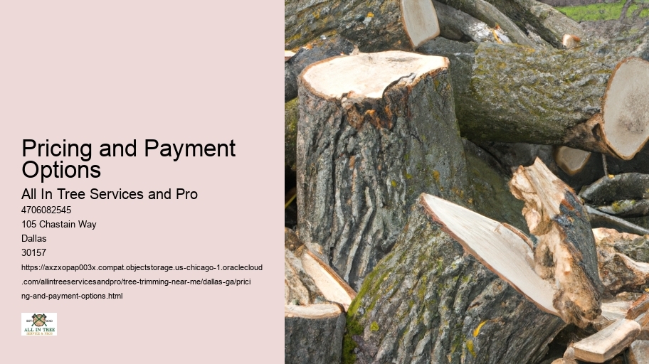 Pricing and Payment Options