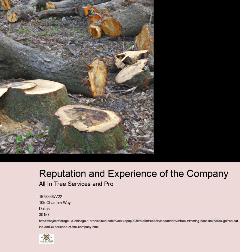 Reputation and Experience