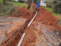 Lush, green patches of grass over septic tank
