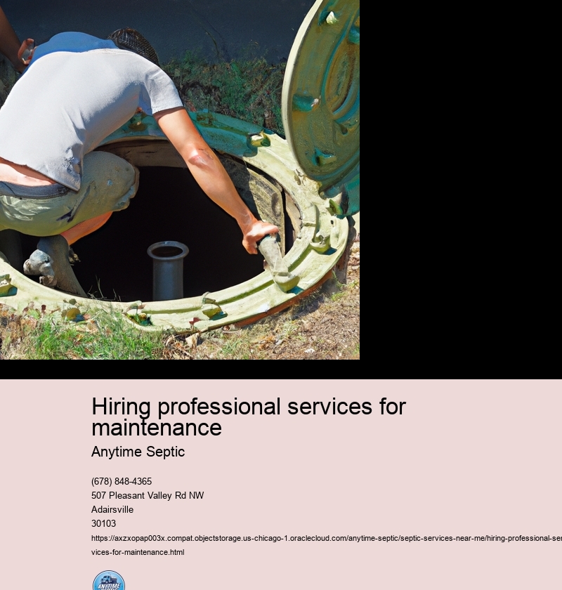Hiring professional services for maintenance