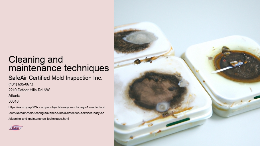 Cleaning and maintenance techniques