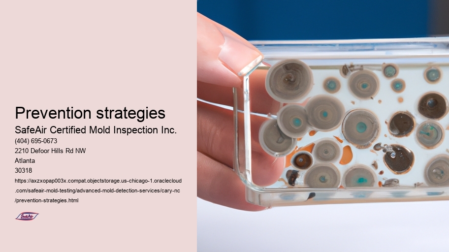 Prevention strategies