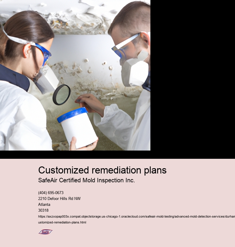 Customized remediation plans