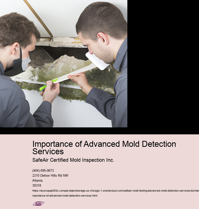 Importance of Advanced Mold Detection Services