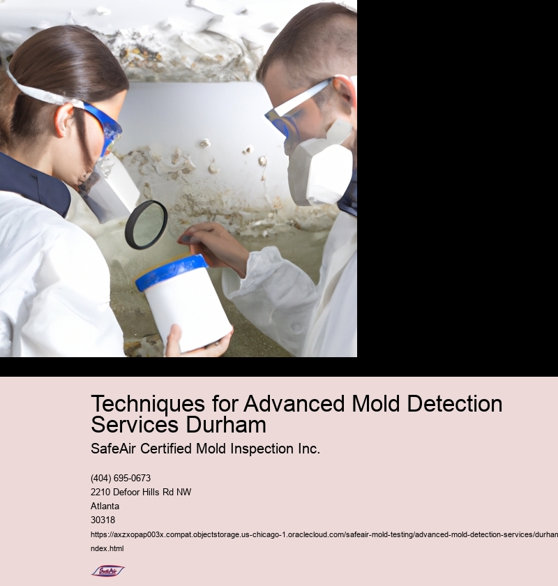 Techniques for Advanced Mold Detection Services Durham