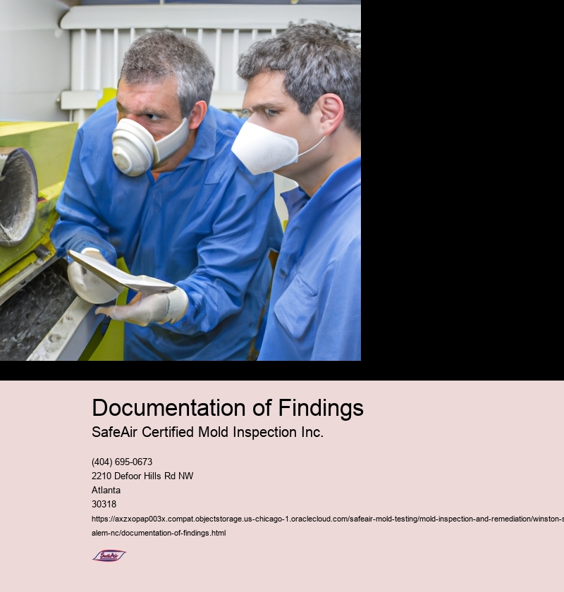 Documentation of Findings