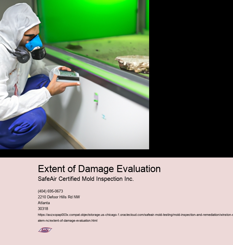 Extent of Damage Evaluation
