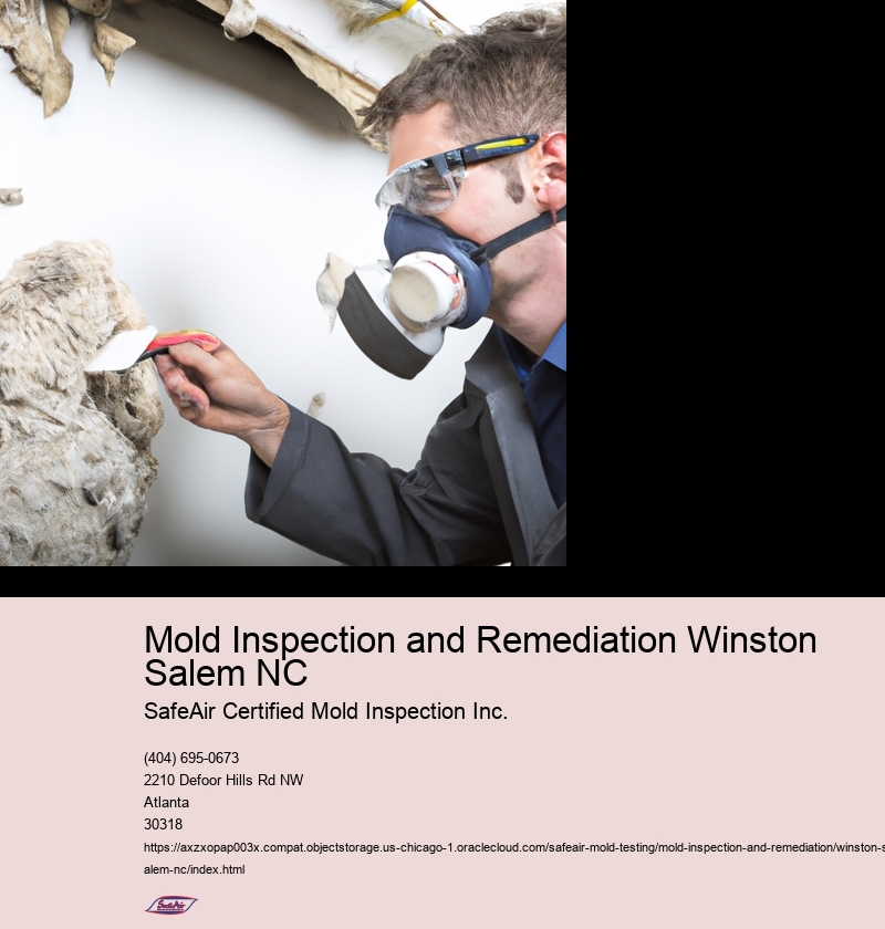 Mold Inspection and Remediation Winston Salem NC