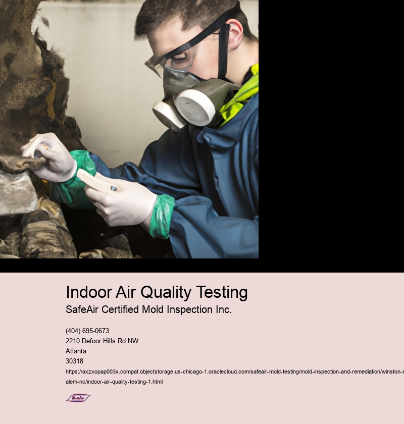 Indoor Air Quality Testing