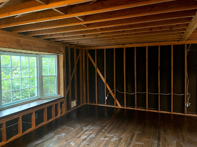 Benefits of hiring professional mold inspectors for accurate assessments