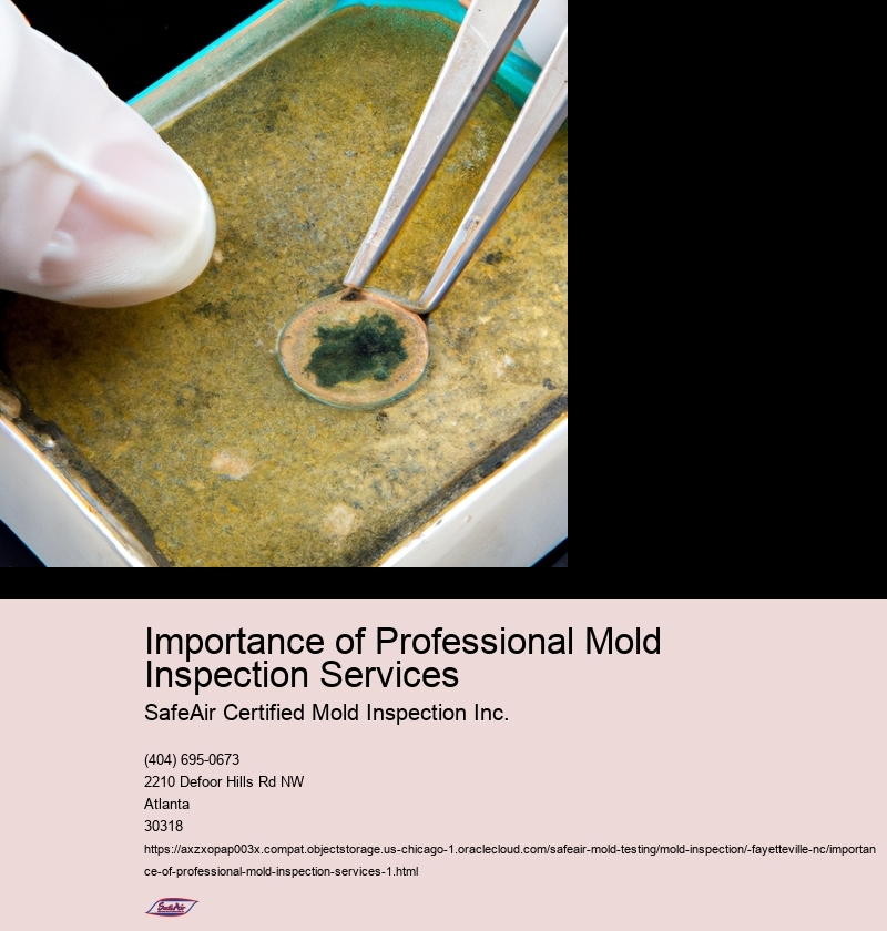 Importance of Professional Mold Inspection Services