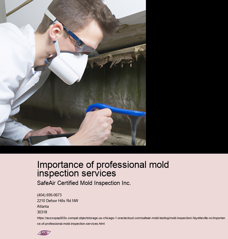 Importance of professional mold inspection services