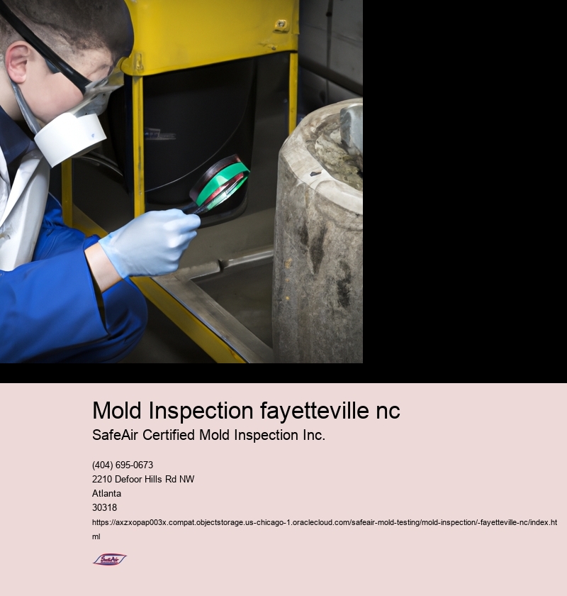 Mold Inspection fayetteville nc