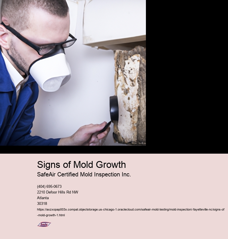 Signs of Mold Growth