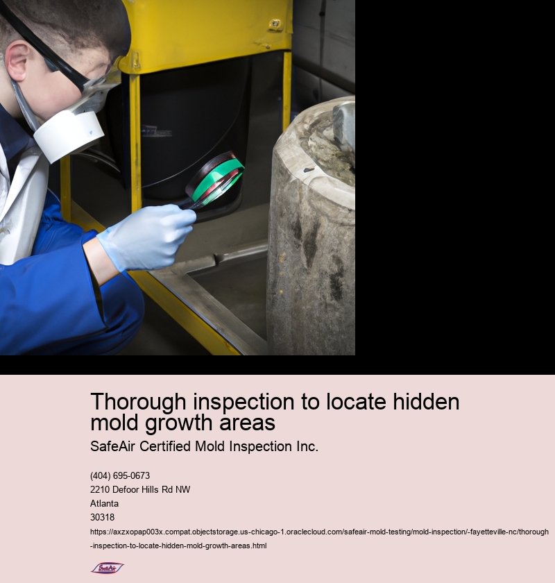 Thorough inspection to locate hidden mold growth areas
