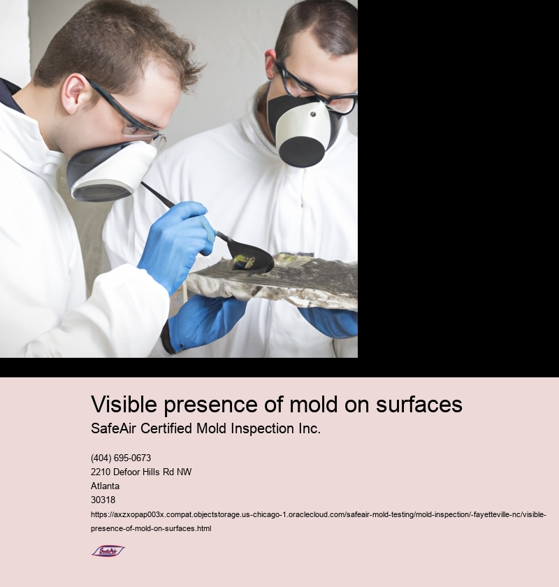 Visible presence of mold on surfaces