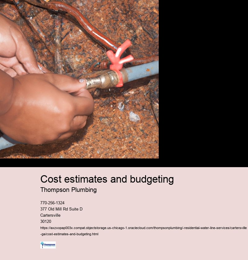 Cost estimates and budgeting