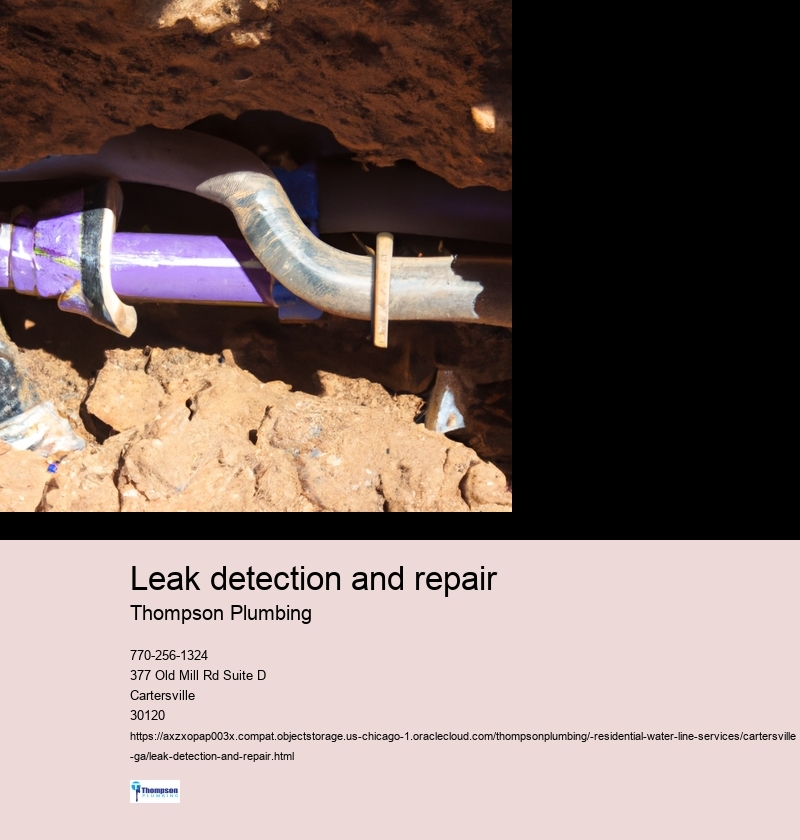 Leak detection and repair